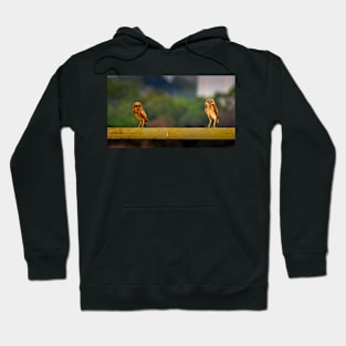 owl Hoodie